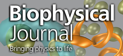 biophysical-journal-image